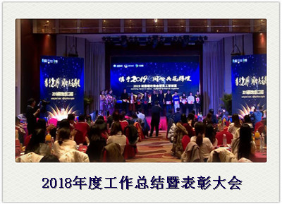 2018年度工作总结暨表彰大会